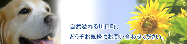 東京都八王子市　歯科医院